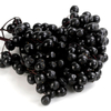 Elderberry Extract