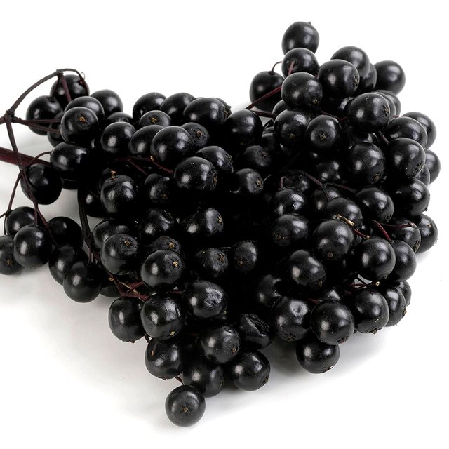 Elderberry Extract