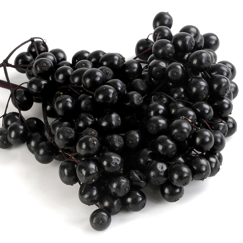 Elderberry Extract