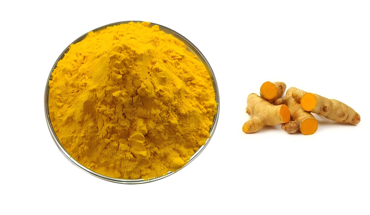 Turmeric Extract