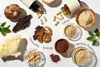 //imrorwxhlqrnlj5q.ldycdn.com/cloud/plBpqKoiliSRqlnjjjiqjq/Mushroom-Blend-Daily-Wellness-Formula.jpg