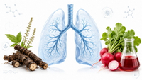 //imrorwxhlqrnlj5q.ldycdn.com/cloud/plBpqKoiliSRqlnllijkjq/Respiratory-Recovery-Botanical-Overview.jpg