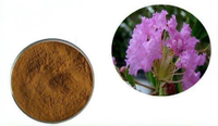 //imrorwxhlqrnlj5q.ldycdn.com/cloud/pmBpqKoiliSRnlmmllmijp/Banaba-Extract-Corosolic-Acid.jpeg