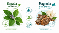 //imrorwxhlqrnlj5q.ldycdn.com/cloud/pnBpqKoiliSRqljkmrmqjp/Banaba-Vs-Magnolia-Digestive-Snapshot.jpg