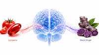 //imrorwxhlqrnlj5q.ldycdn.com/cloud/poBpqKoiliSRqlioqprmjp/Lycopene-And-Black-Ginger-Neuroinflammation-Hero.jpg