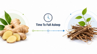 //imrorwxhlqrnlj5q.ldycdn.com/cloud/poBpqKoiliSRqljkmrpmjp/Ginger-And-Knotweed-Sleep-Concept.jpg