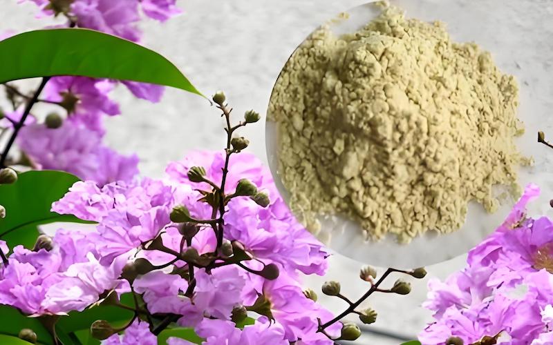 Banaba Extract