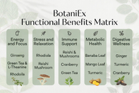 //imrorwxhlqrnlj5q.ldycdn.com/cloud/ppBpqKoiliSRqlnjlirijo/Key-Botanical-Extracts-Matrix.jpg