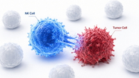 //imrorwxhlqrnlj5q.ldycdn.com/cloud/ppBpqKoiliSRqlnloipmjp/Natural-Killer-Cell-Immune-Surveillance.jpg