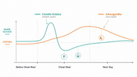 //imrorwxhlqrnlj5q.ldycdn.com/cloud/ppBpqKoiliSRqlopormljp/Keto-Cheat-Day-Response-Curve.jpg