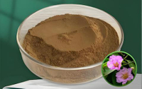 //imrorwxhlqrnlj5q.ldycdn.com/cloud/pqBpqKoiliSRollrijorjo/Banaba-Leaf-Extract.jpeg
