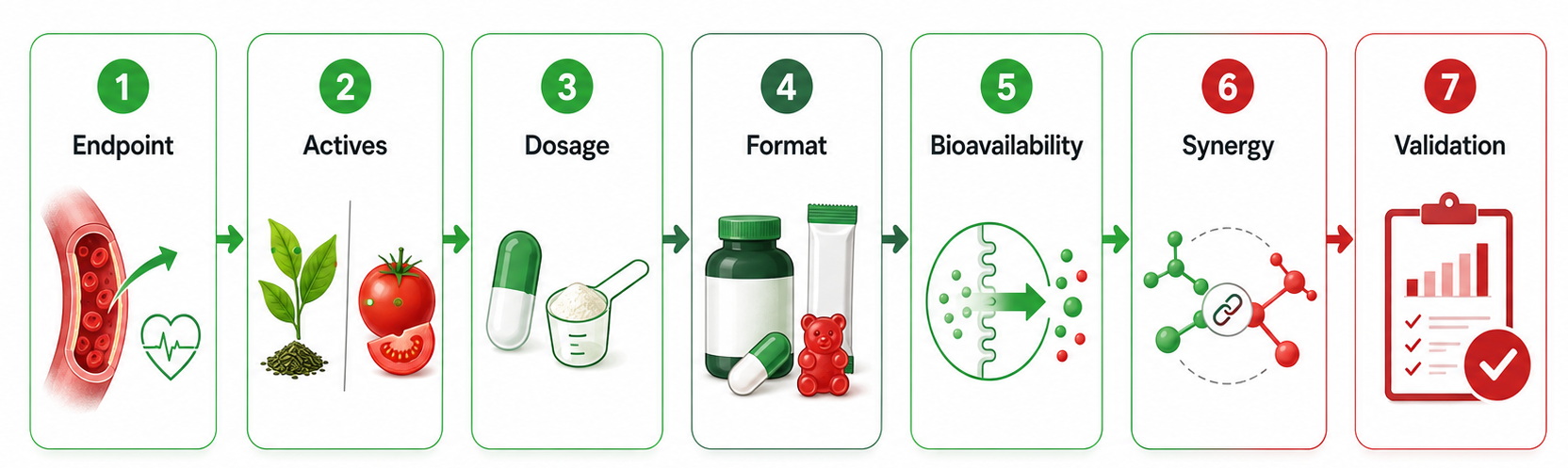 Vasodilation Product Development Blueprint