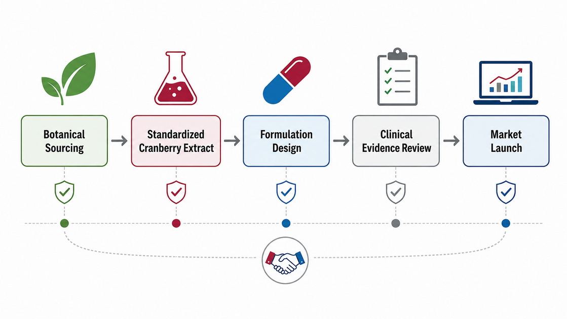 Cognitive Focus Product Development Workflow
