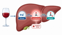 //imrorwxhlqrnlj5q.ldycdn.com/cloud/pqBpqKoiliSRqlmmonijjp/Alcohol-To-Acetaldehyde-Liver-Pathway.jpg